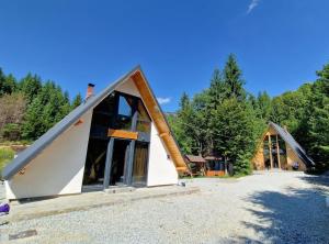 a house with a triangular roof in the woods at Cabanele Infinyti in Colibiţa