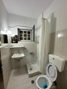 a small bathroom with a toilet and a sink at Hotel TSAPARAS in Alíartos