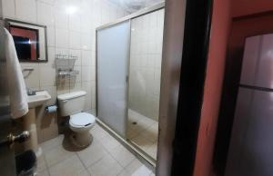 a bathroom with a shower and a toilet and a sink at Garcias Suites Cuauhtémoc in Linares