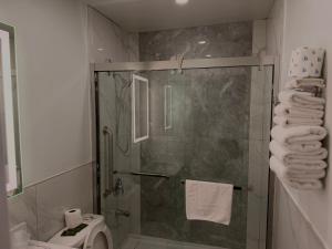a bathroom with a shower and a toilet at Wiarton Willys Inn in Wiarton +12 photos