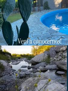 a picture of a cactus next to a swimming pool at Carumel in Villa Ciudad Parque +1 photo