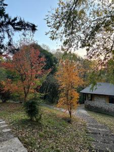 a house in the middle of a yard with trees at Piedra Serrana in San Antonio de Arredondo
