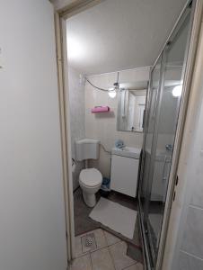a small bathroom with a toilet and a shower at Planinski dom Janče in Ljubljana +57 photos