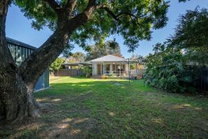 a house with a large tree in the yard at Delightful Digs on David in Albury