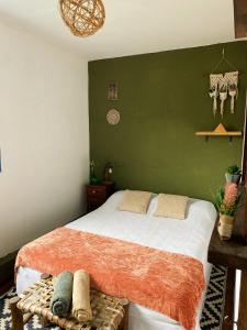 a bedroom with a large bed with a green wall at Onda Verde Hostel in San Salvador de Jujuy