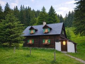 a wooden house in a field with trees at Almhütte Seebergalm in Seewiesen