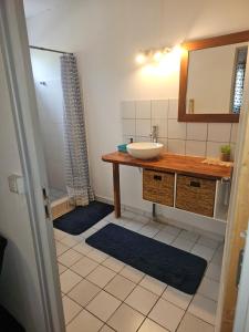 a bathroom with a sink and a mirror at Paradies Caraïbes I in Les Abymes