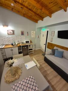 a large living room with a couch and a kitchen at Buenavida Guesthouse in Ushuaia