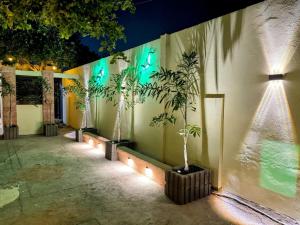 a row of potted plants on a wall with lights at Arubaapartamentos in Oranjestad