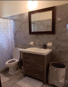 a bathroom with a sink and a toilet and a mirror at Prospect Loft in Kingstown +10 photos
