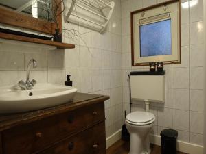 a bathroom with a sink and a toilet and a window at Vechtdal Chalet de Eik in Rheezerveen