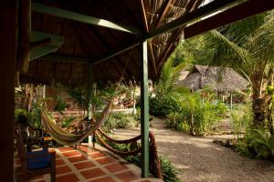 a patio with a hammock and a resort at Hotel Pijibá Lodge in Nuquí +33 photos