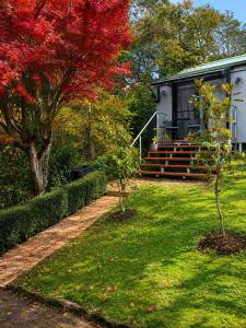 a house with a yard with two trees in front of it at Cosy Studio- Blue Mountains in Wentworth Falls