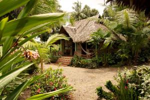 a house with a thatched roof in a garden at Hotel Pijibá Lodge in Nuquí