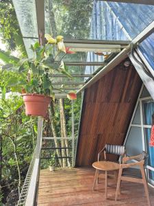 a wooden deck with a chair and a potted plant at Orchid Chalet in Ringlet