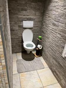 a bathroom with a toilet in a room at Le Petit Cocon in Amiens