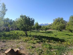 a field of grass with trees in the background at Эламан in Otradnoye
