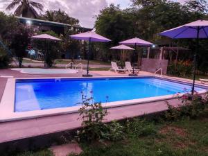 a swimming pool with umbrellas in a yard at Cabinas El Paso de Moisés in Uvita