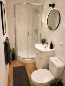 a bathroom with a shower and a toilet and a sink at DalkoskaStreet in Gniezno