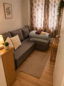 a living room with a gray couch and a table at DalkoskaStreet in Gniezno