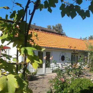 a small white house with an orange roof at De Vrijheid-Melkstal in De Cocksdorp