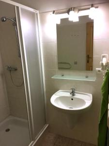 Ένα μπάνιο στο Apartmán U Lišek +21 φωτογραφίες