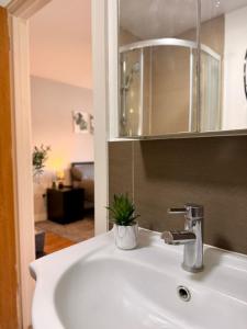 a bathroom sink with a plant in a pot on it at Leatherhead Studios by WorkStay in Leatherhead +18 photos