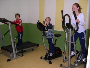 Centrul de fitness și/sau facilități de fitness de la Ferienhaus Ehrenreith