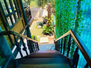 a staircase leading up to a house with green ivy at Homestay-pickleball in Ðồng Vo