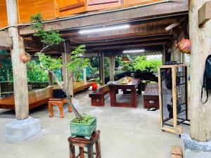 a living room with a table and a tree at Homestay-pickleball in Ðồng Vo