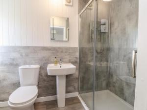 a bathroom with a toilet and a sink and a shower at Maes Y Coed in Pwllheli +15 photos