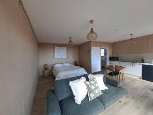 a living room with a couch and a bed at Totaranui Accommodation Chalet 2 in Tata Islands