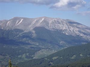 una montagna innevata in lontananza con alberi di Dulcamara a Pescasseroli