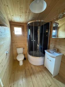a bathroom with a toilet and a shower and a sink at Przystanek Wyspa in Gdańsk +12 photos