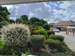 a garden with bushes and flowers in a driveway at Studio Clos-Edeen in Tréclun
