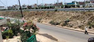 a man walking down a road with flowers on the side at The Dream Hotel And Rooms in Etāwah