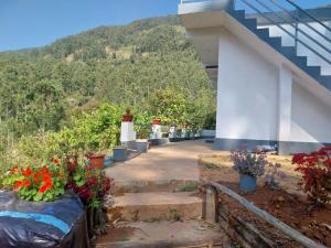 a group of flowers on the steps of a building at Grace villa Homestay in Vattavada