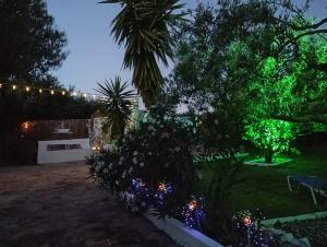 a garden at night with christmas lights at MANOS Small House Kouremenos in Palekastron