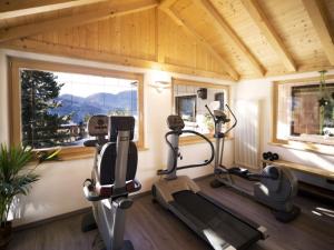 Fitness centrum a/nebo fitness zařízení v ubytování Hotel Villa Wilma