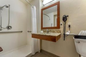 a bathroom with a sink and a mirror at Quality Inn Dover in Dover