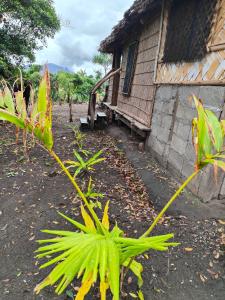 a house with a plant in front of it at Montanna bungalow in Lénakel