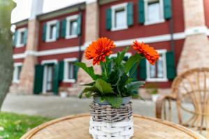 a vase with orange flowers sitting on a table at Ca'trecamini in Ca Dolfin