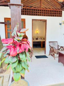 eine Pflanze mitten im Wohnzimmer in der Unterkunft Sandy Beach Hotel in Arugam Bay