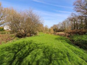 a green grass field with trees and a tree shadow at Fullers Studio in Holyhead