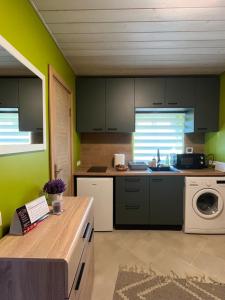 a kitchen with green walls and a washing machine at Pavasari in Cēsis