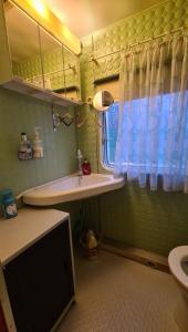 a bathroom with a sink and a toilet and a window at Quiet caravan in nature on Mur cycle path in Feldkirchen bei Graz