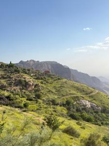 a green hill with trees and mountains in the background at Dana in Tufailah +24 photos
