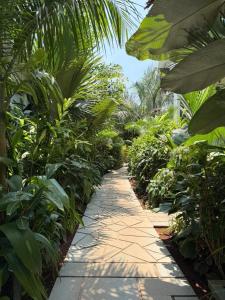 a path through a garden with trees and plants at Aura Stays L8 in Vagator