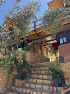 a house with some flowers on the stairs at Dana in Tufailah