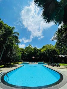 a large swimming pool in a park with trees at Hotel Kamrel Sigiriya in Sigiriya